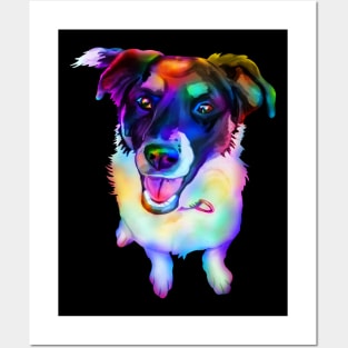 Rainbow Border Collie Dog Mix Posters and Art